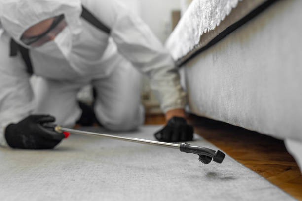 Professional Cockroach Control technician working in Reese, MI