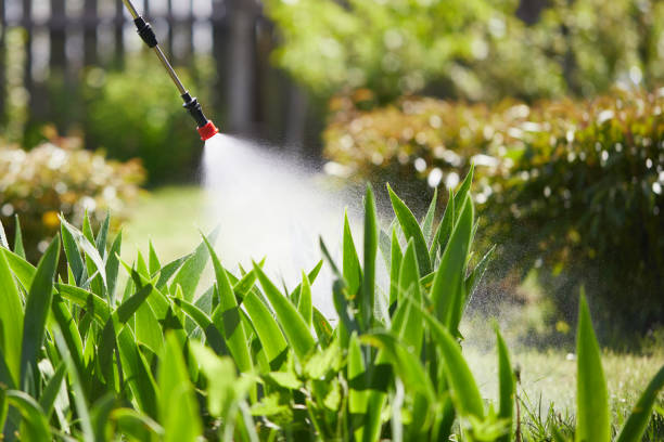 24/7 Emergency Cockroach Control experts in Reese, MI
